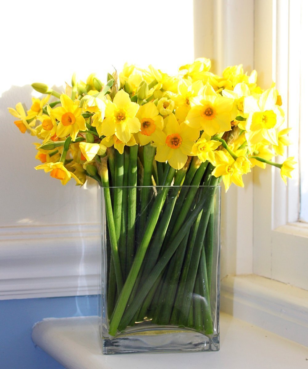 Верба нарциссы тюльпаны