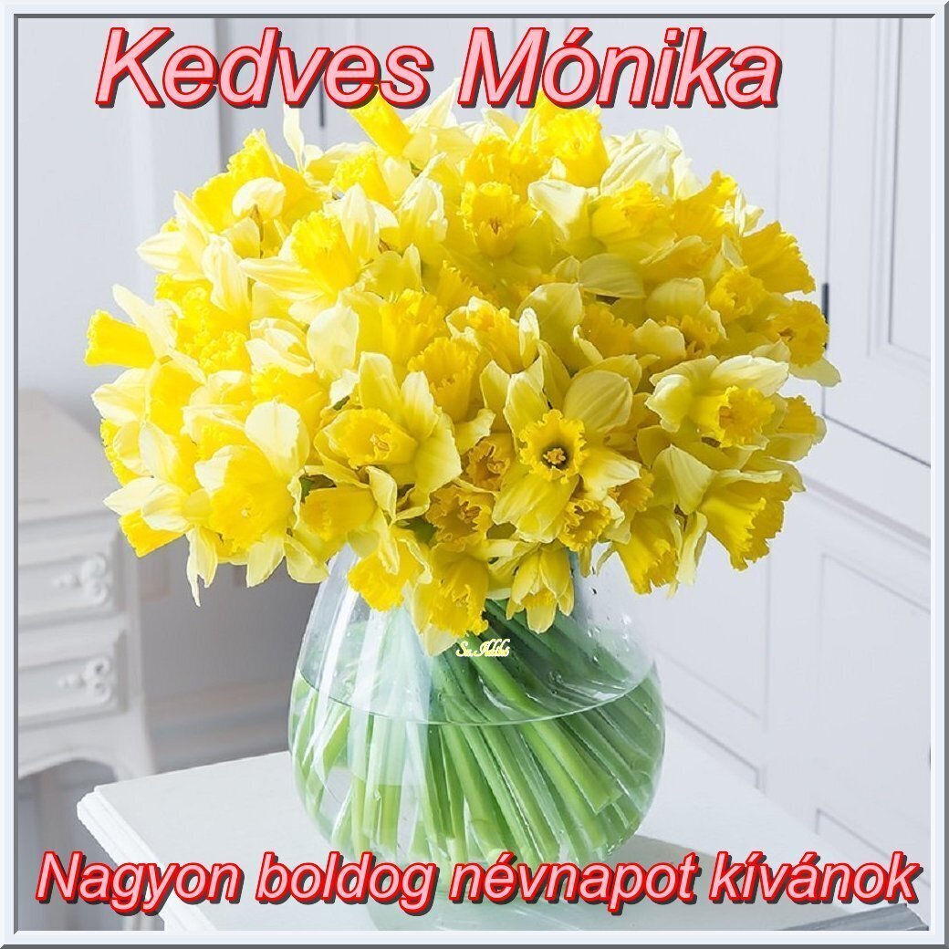 Девушка собирает букет нарциссов