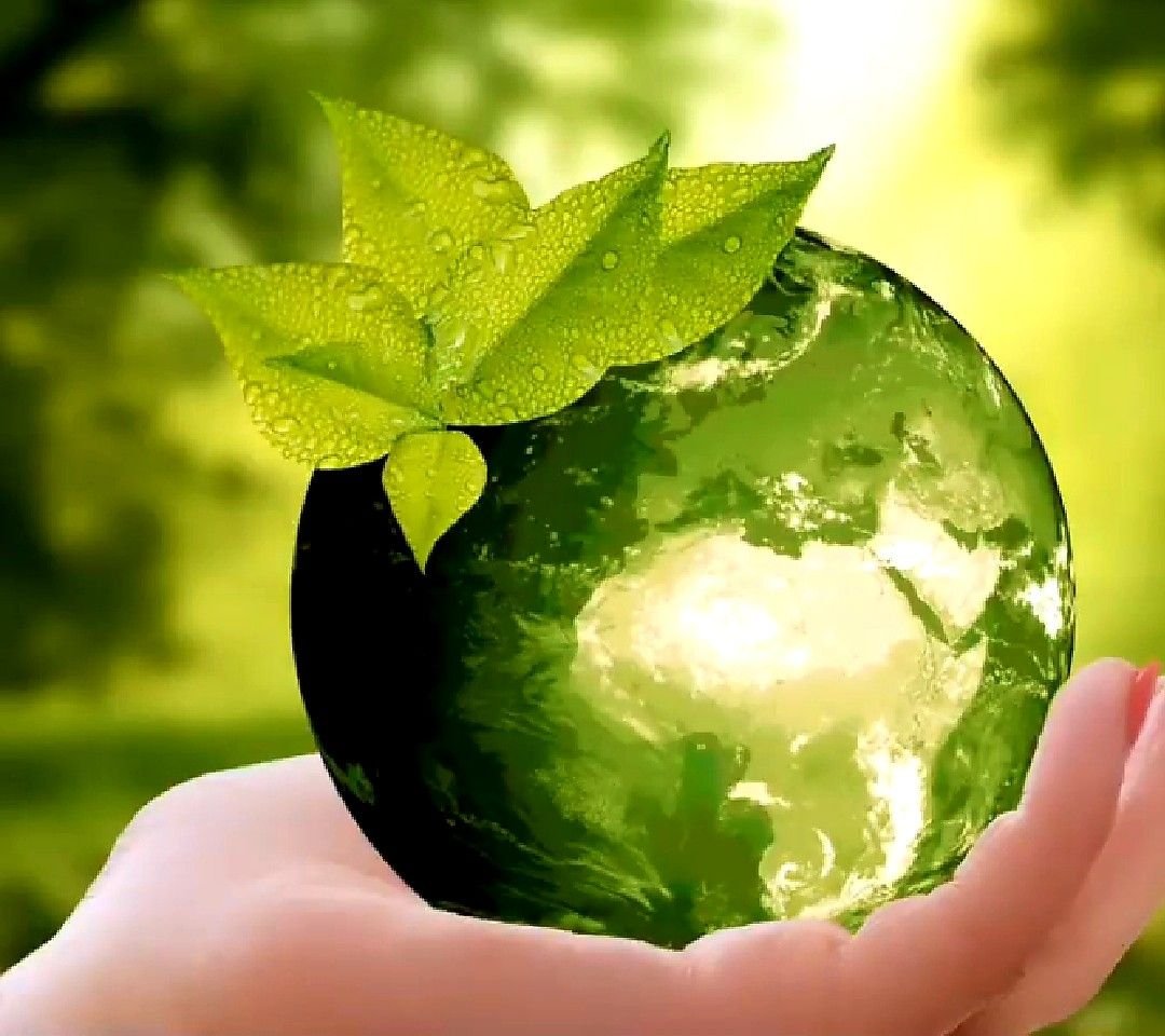 Экологическая Гармония