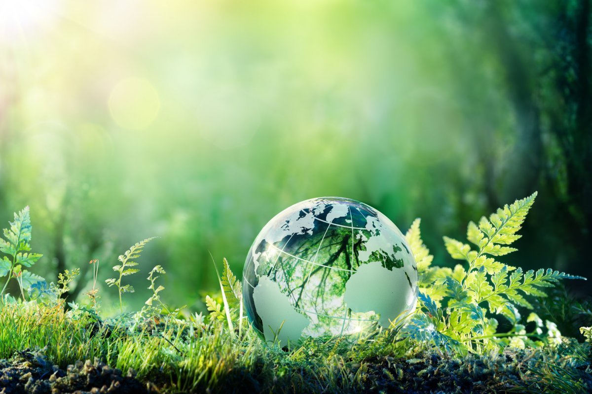 Экологическая чистая земля