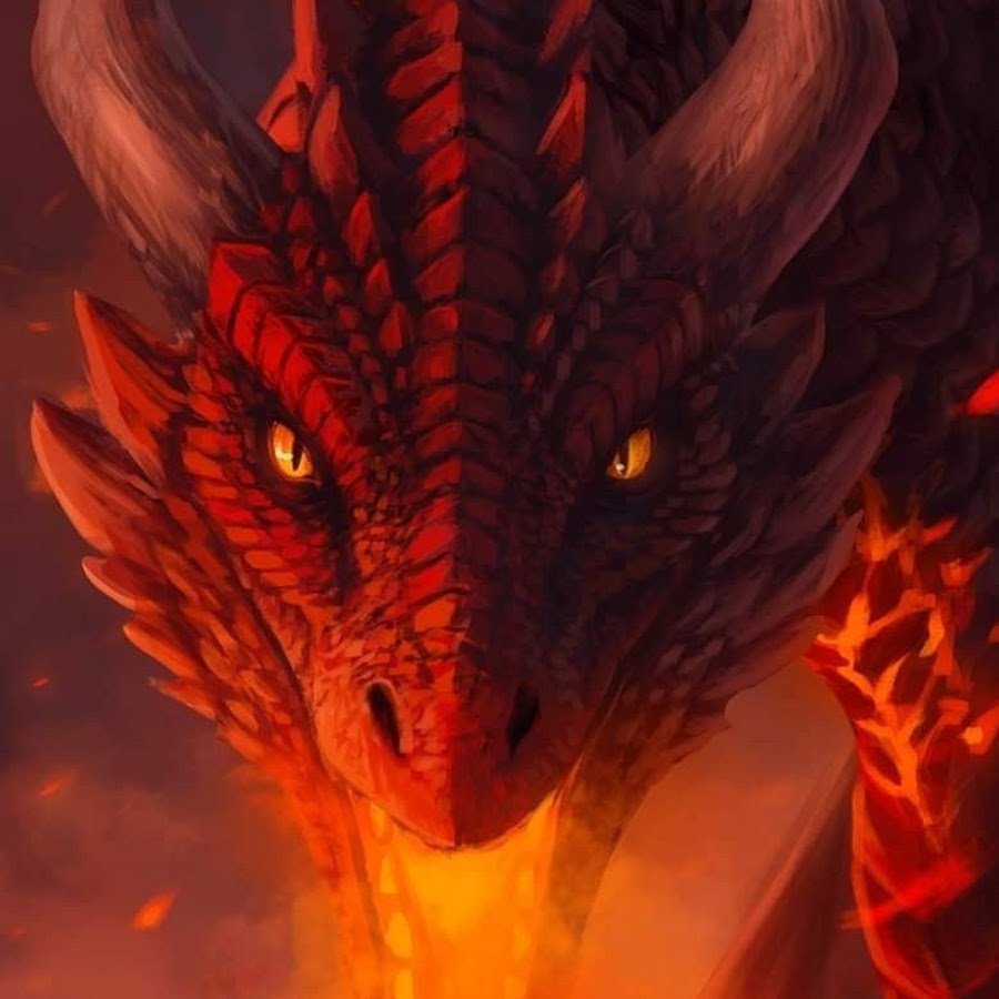 Аркат дракон огня