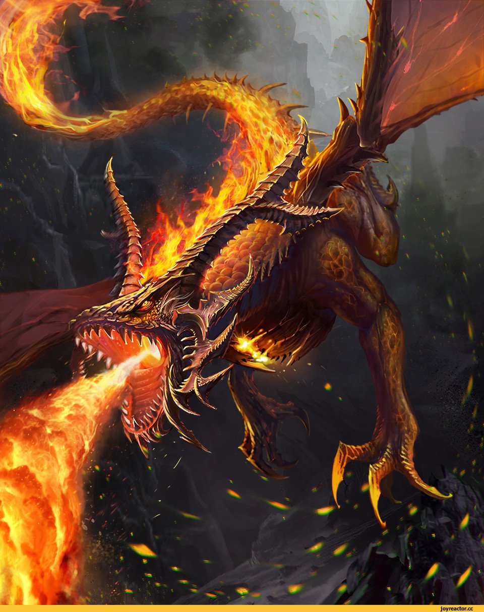 Last Chaos дракон