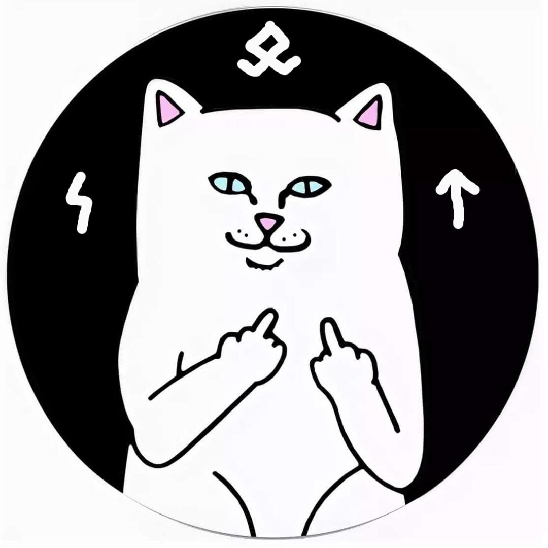 Кот показывает фак