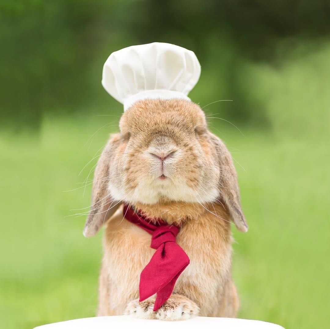 Шапка "Зайка"