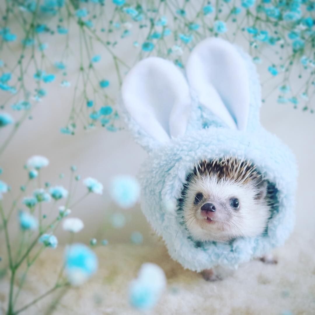 Милый малыш мальчик