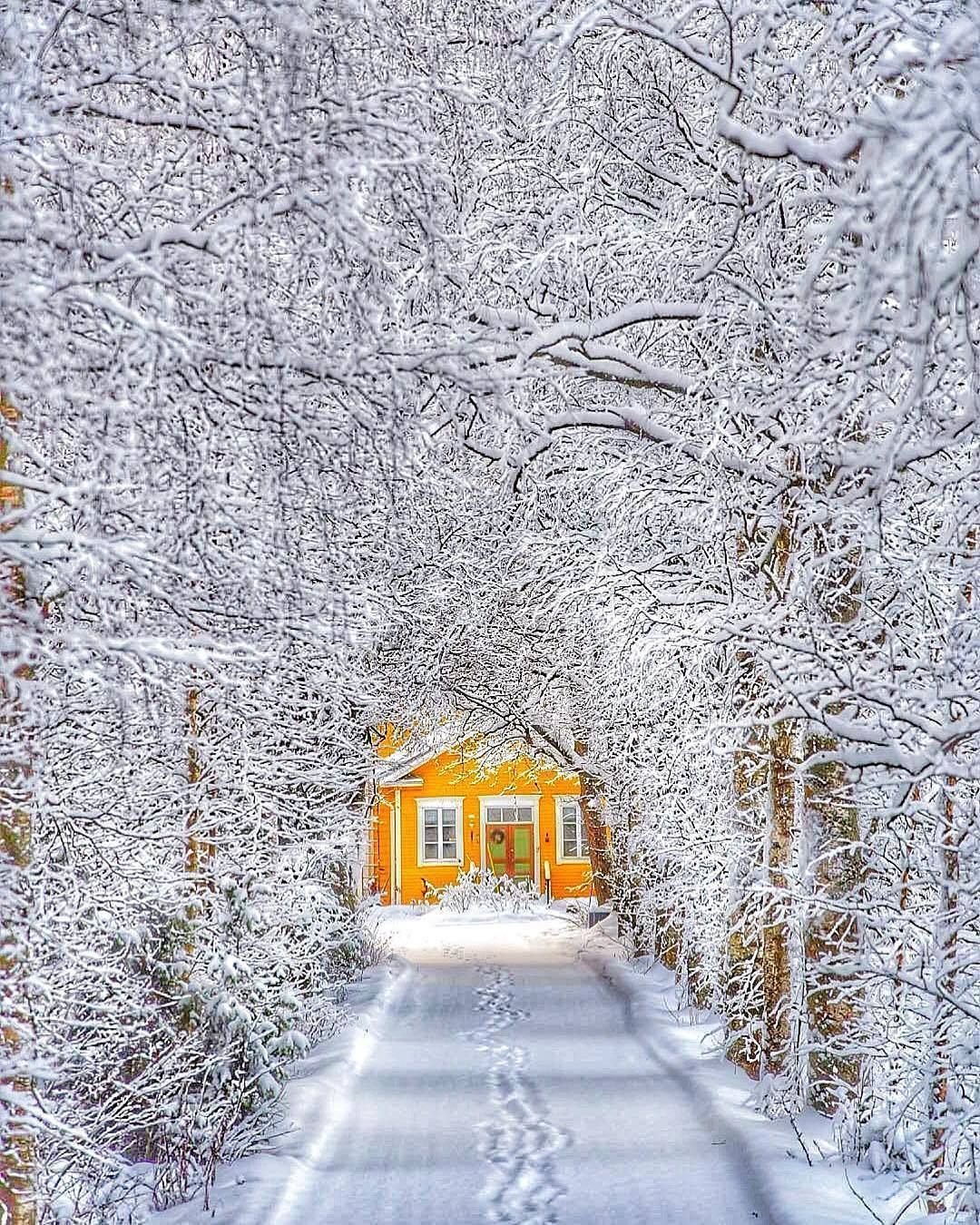 Сказочная зима картинки