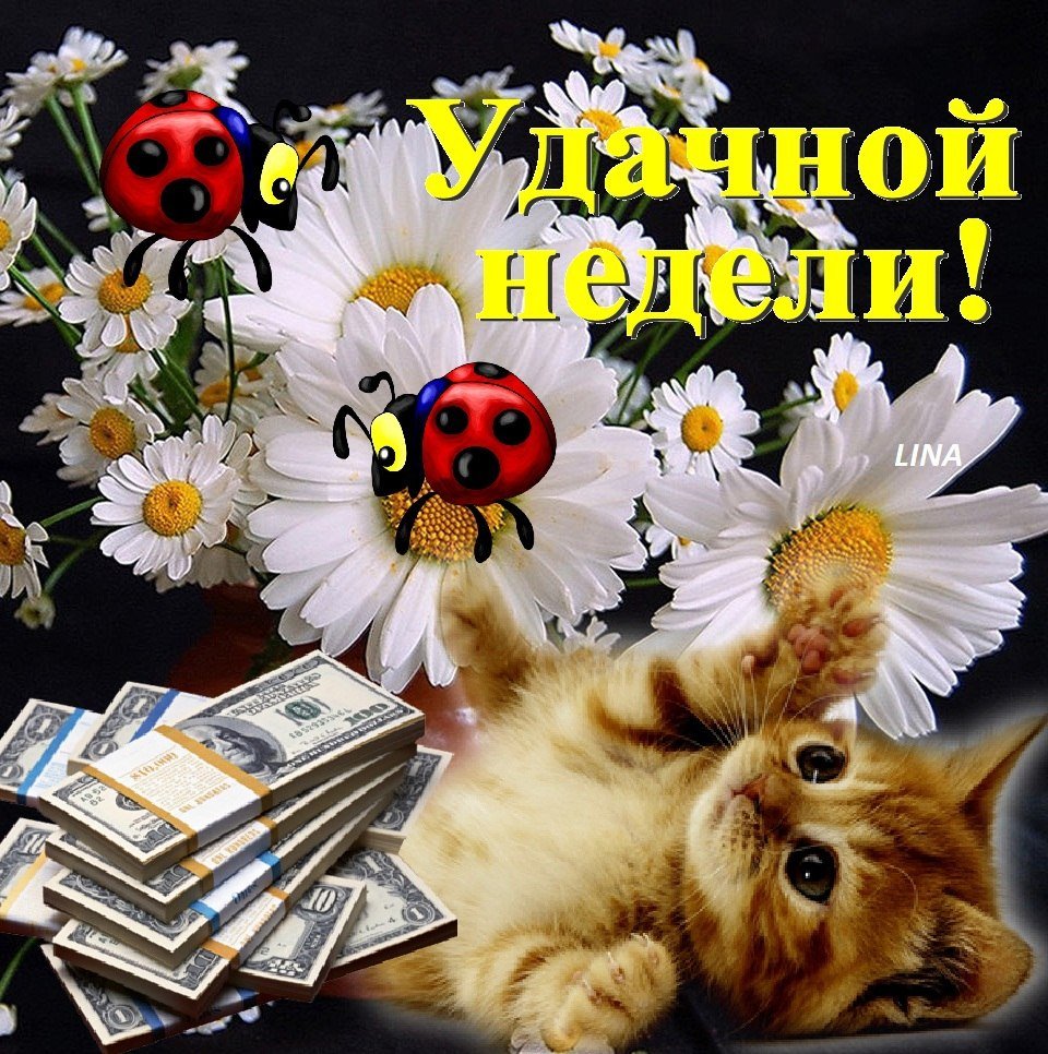 Поздравление с понедельником прикольное