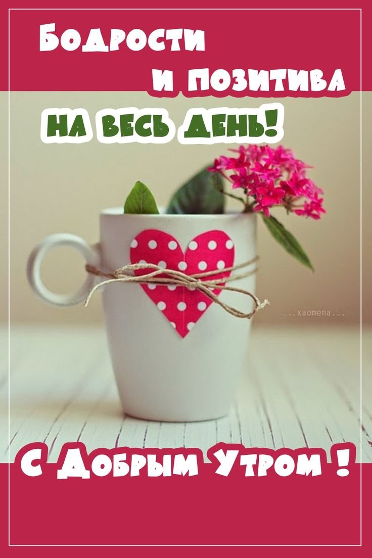 Доброе утро четверга картинки красивые новые