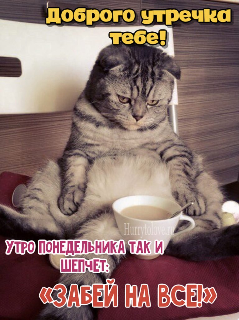 Спящий на посту