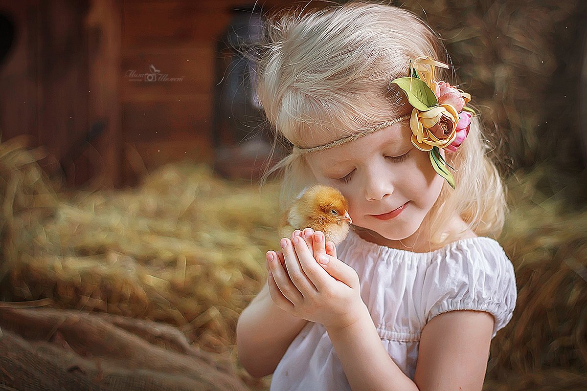 Фотосессия с цыплятами и детьми
