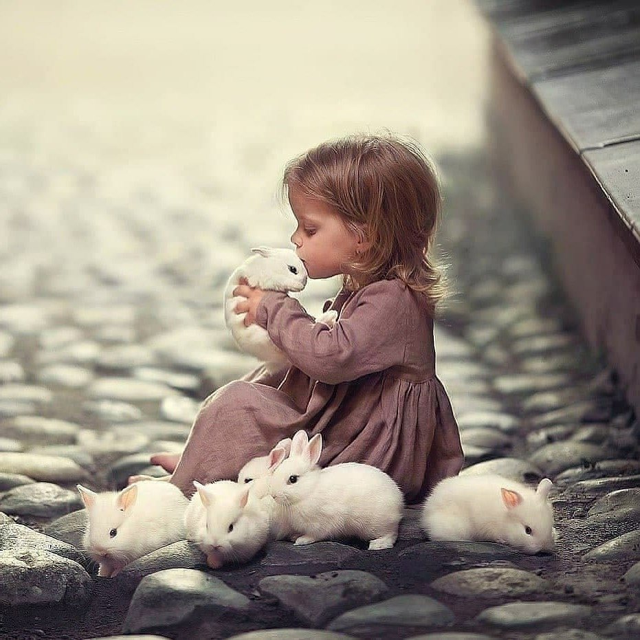 Для детей. Животные