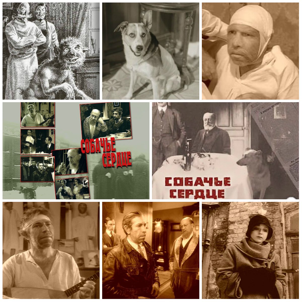 Собачье сердце 1998