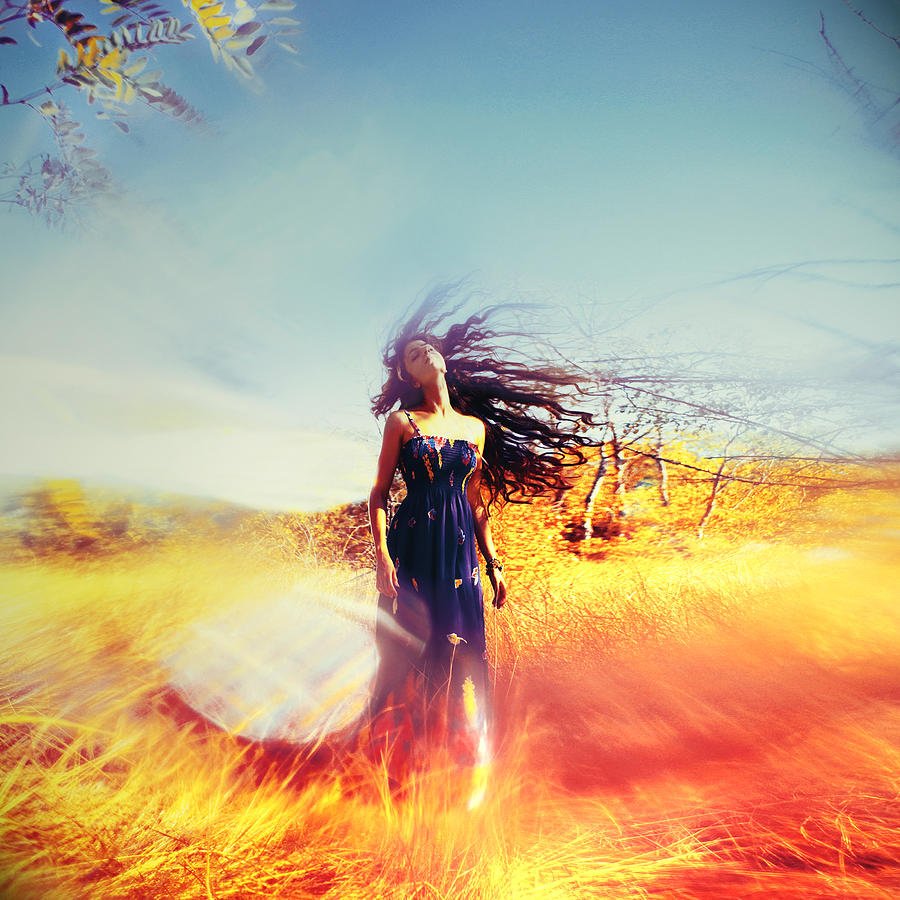 Полынь Алена "круг силы"