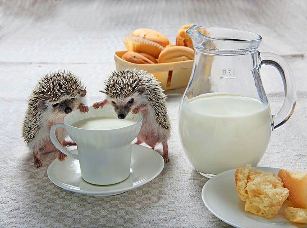 Доброе утро хорошего настроения