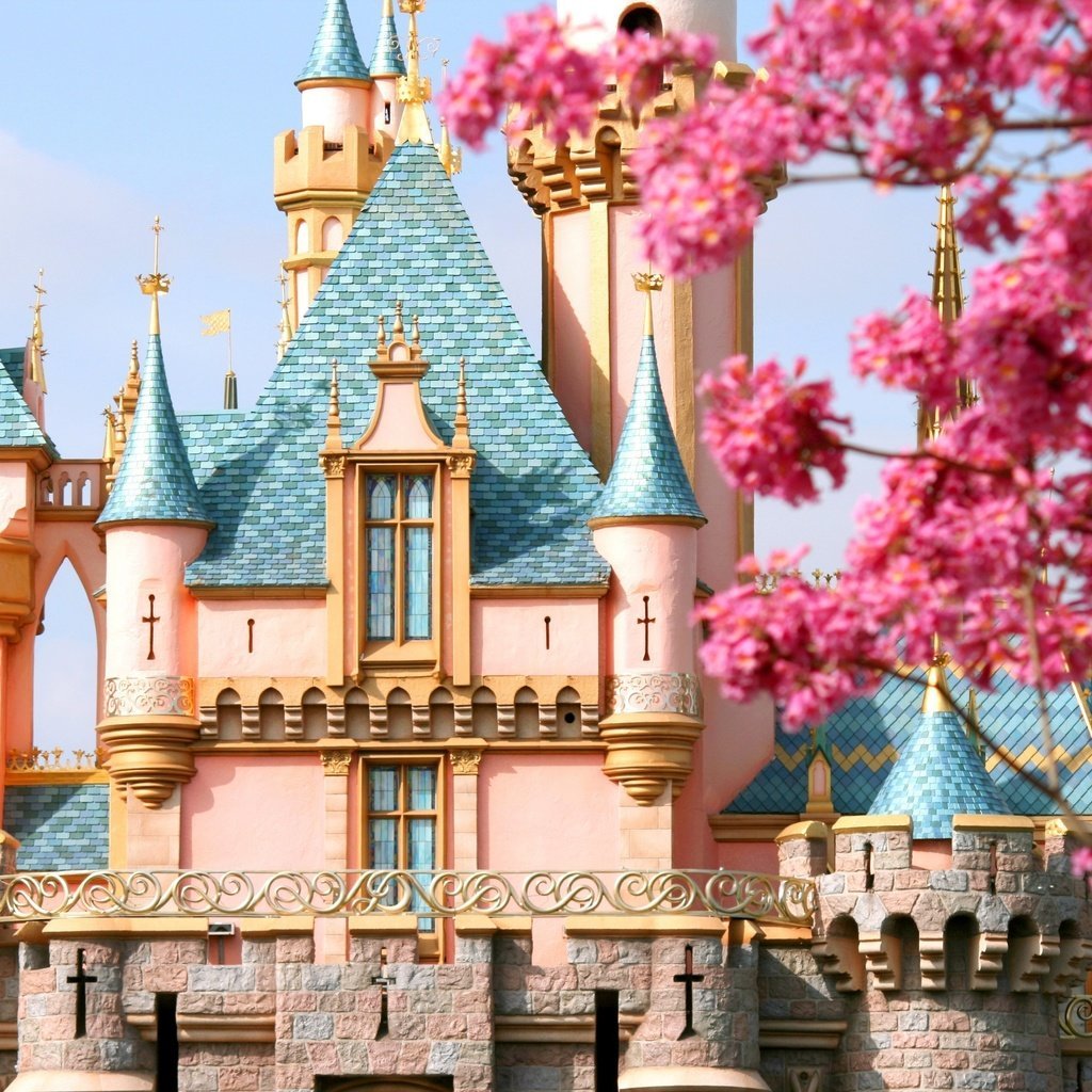 Замок принцессы Авроры Диснейленд