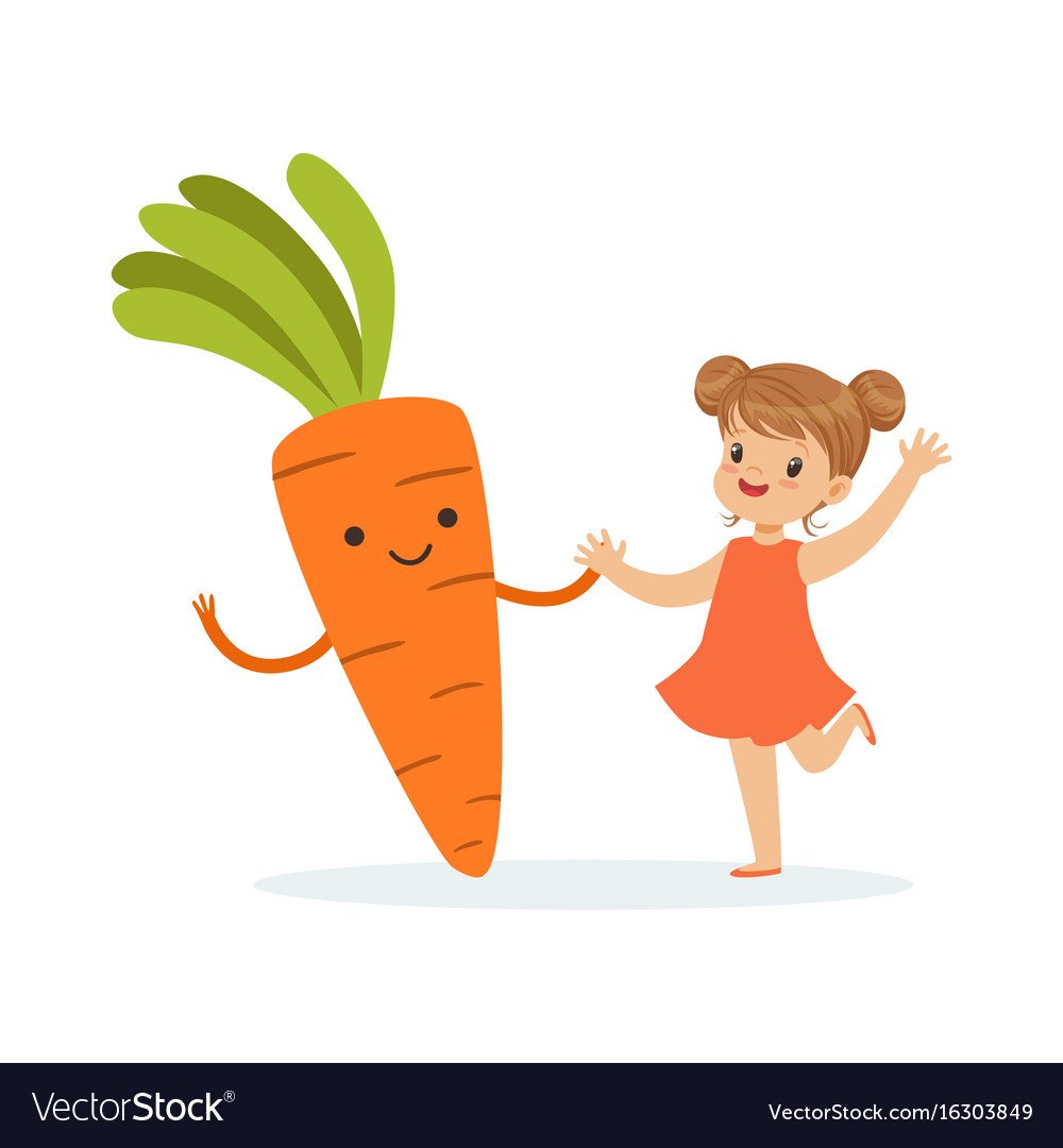 Корнеплод растения Daucus carota