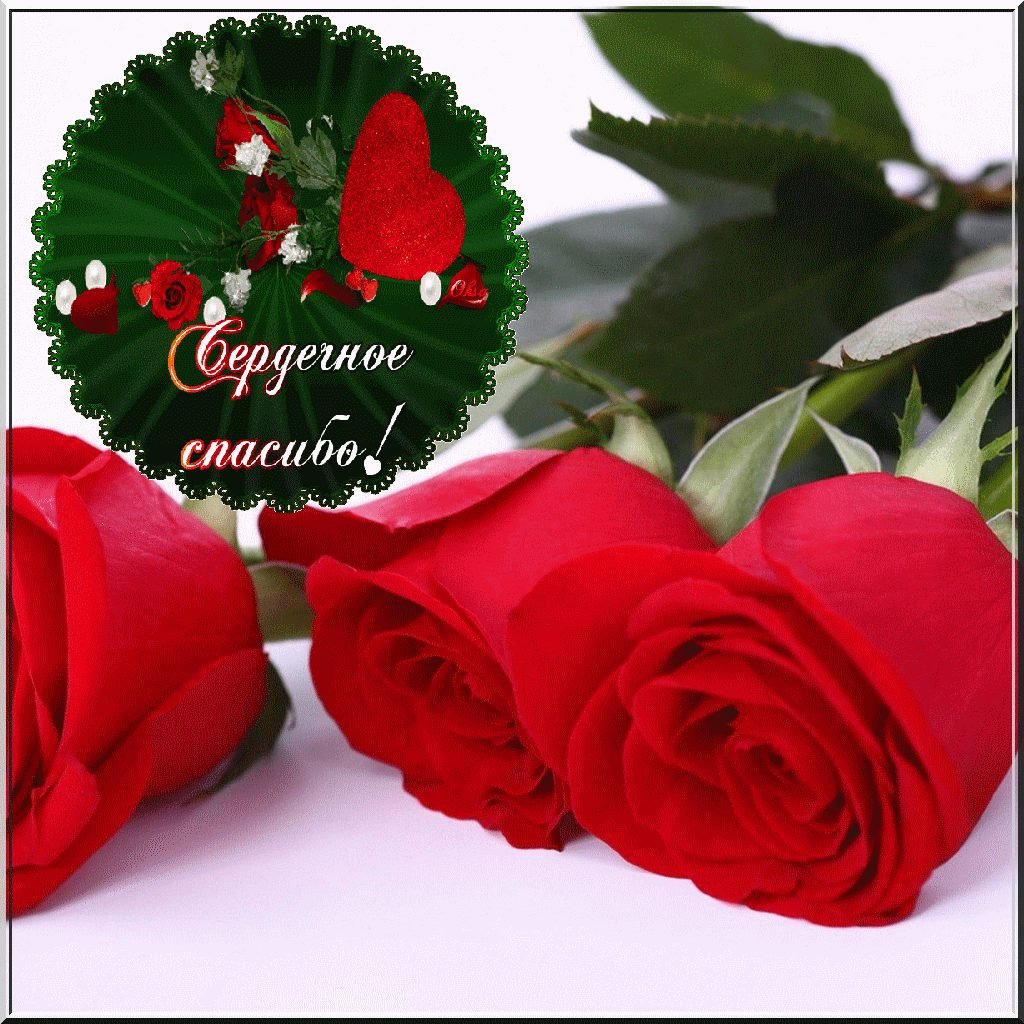 Ощущение счастья