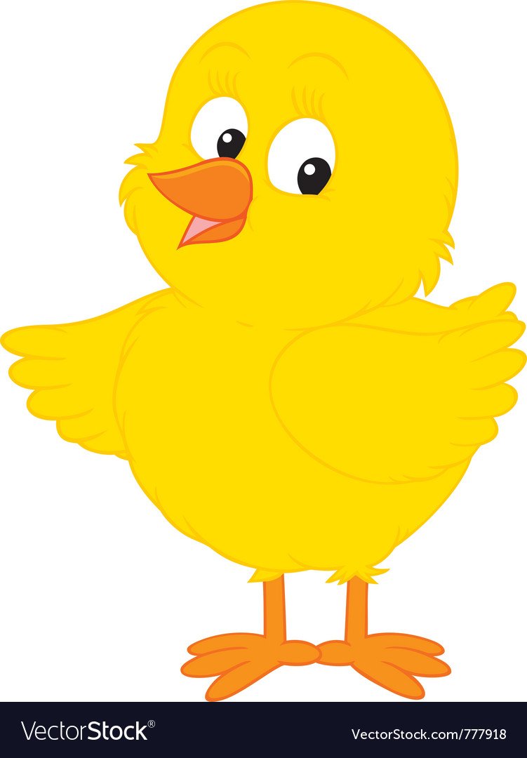 Цыпленок цветная для детей