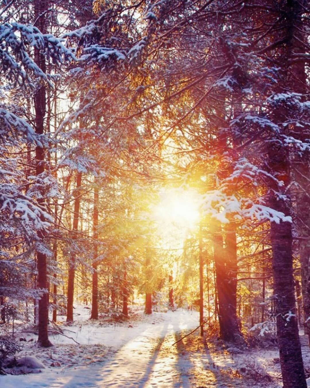 Красота зимы