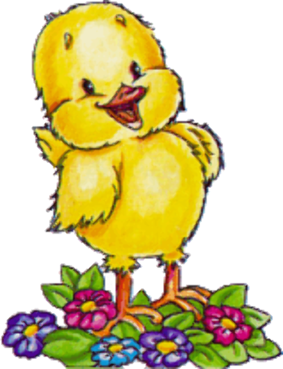 Цыпленок из гифок