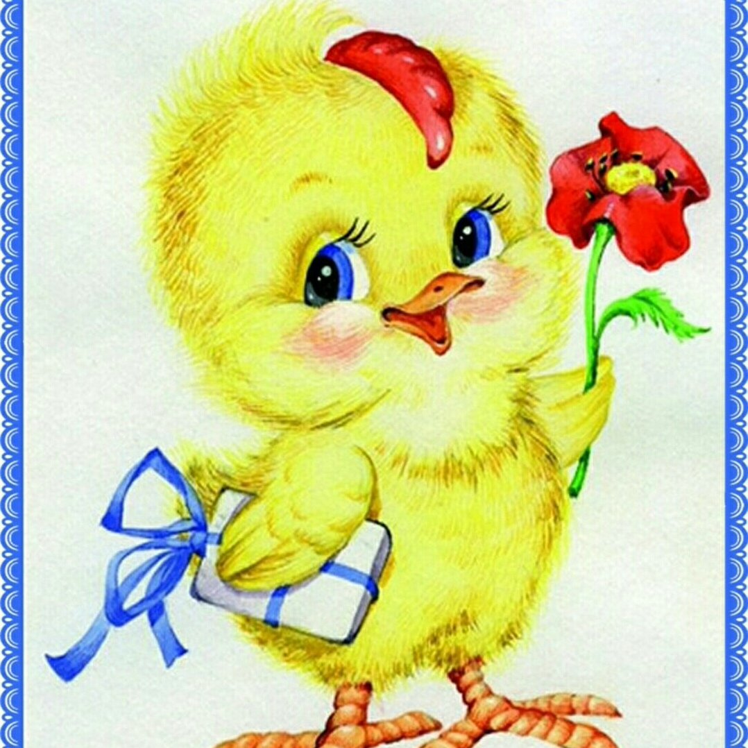 Цыпленок на прозрачном фоне