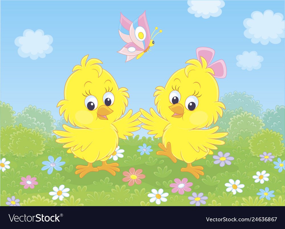 Цыплята для счета