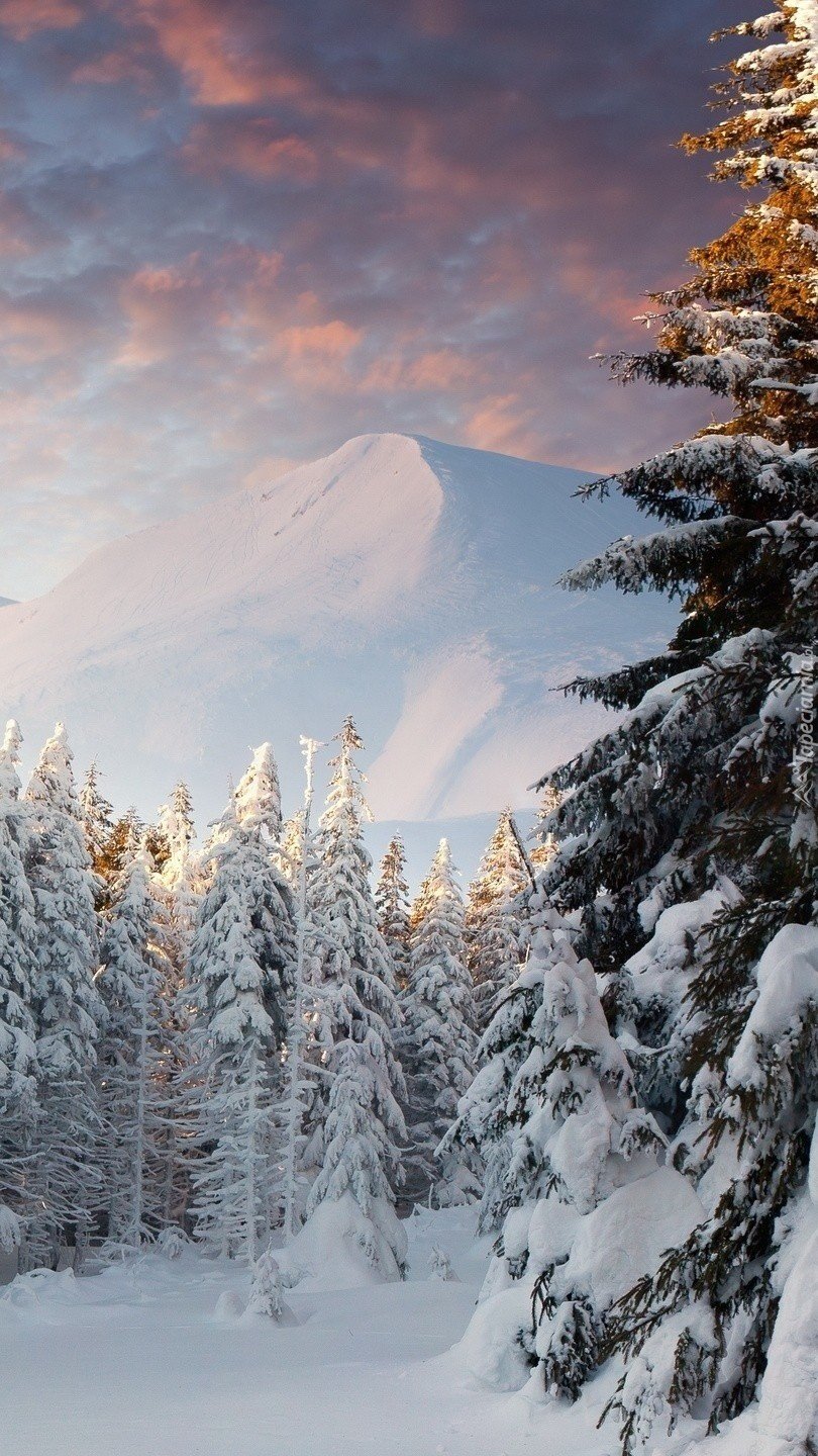 Новогодний пейзаж