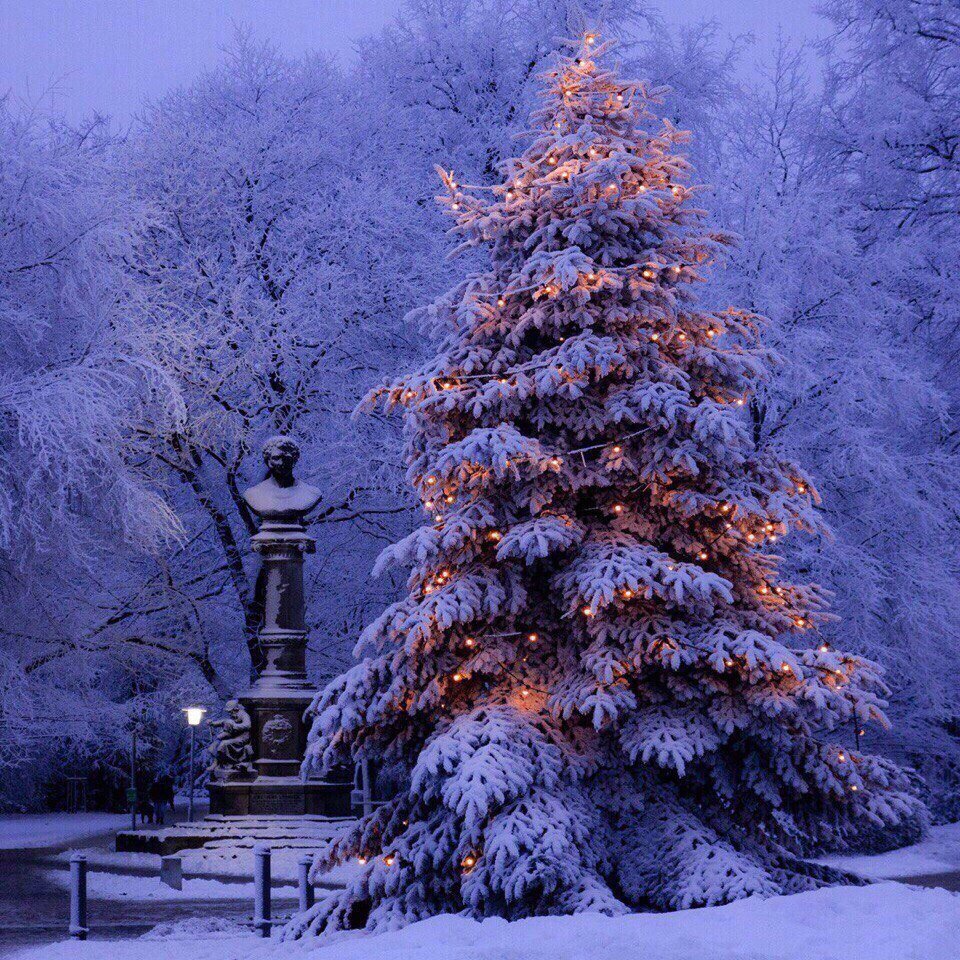 Зима вертикально