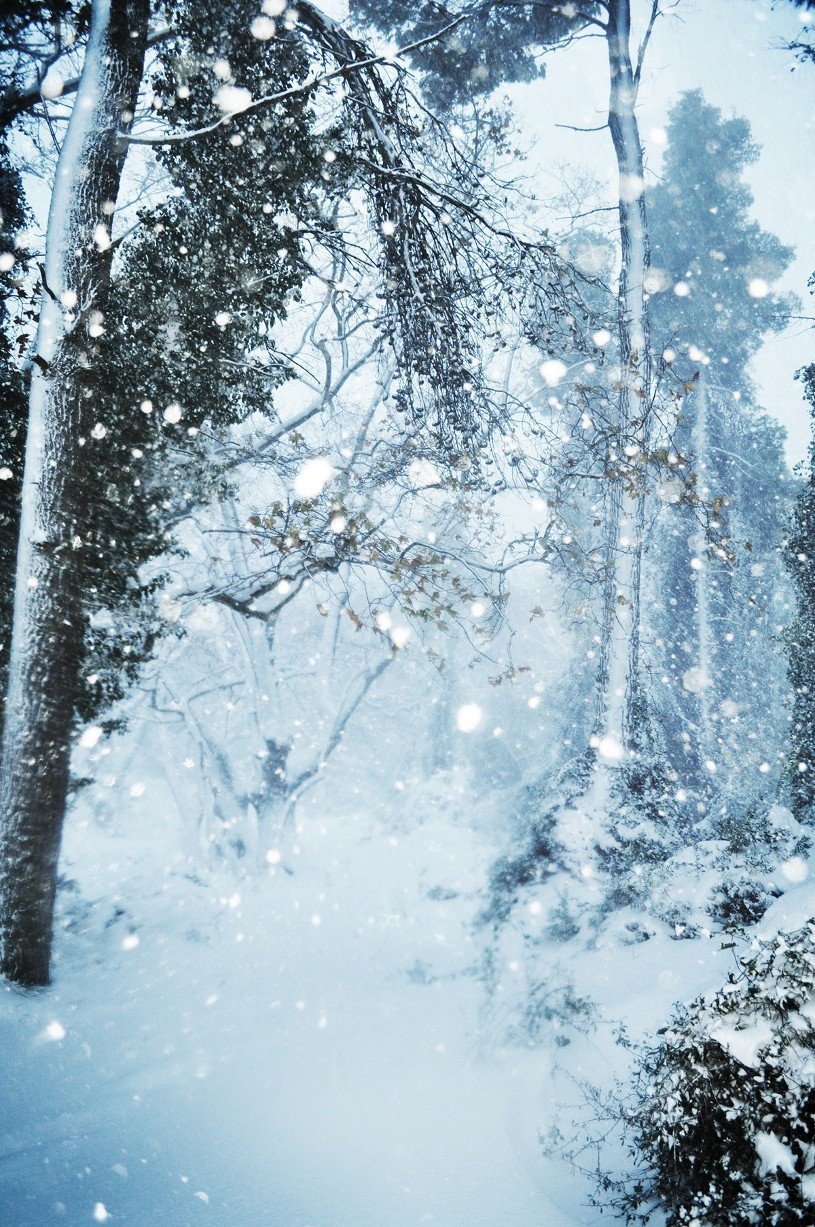 Красивая зима