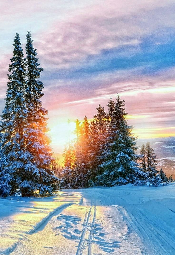 Зимний пейзаж