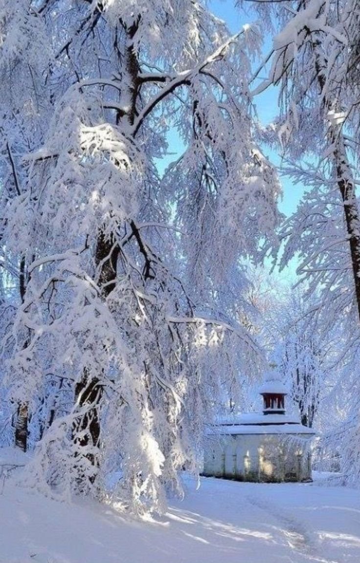 Пейзаж вертикальный