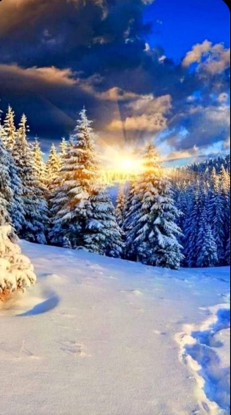 Зима вертикально