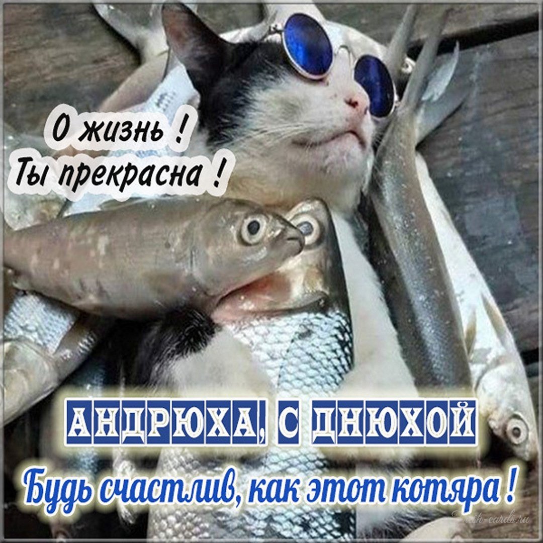 С днём рождения Андрей