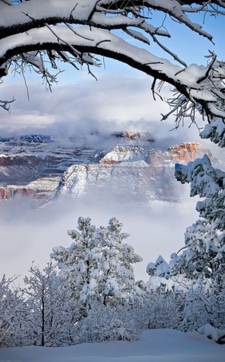 Снежный пейзаж