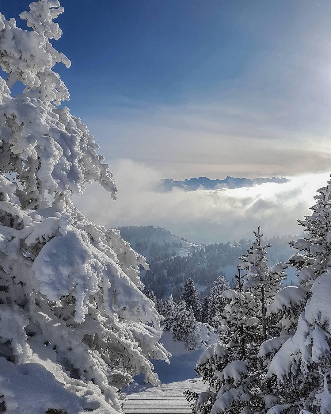 Январский пейзаж