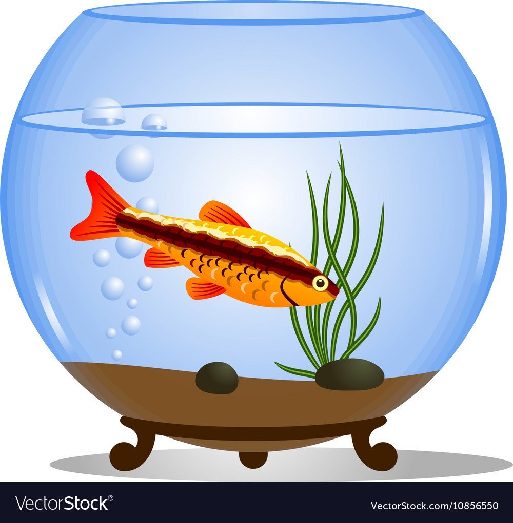 Аквариум круглый рисовать