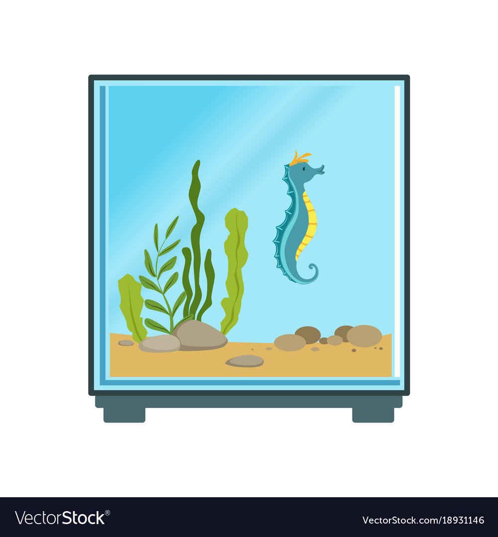 Аквариум квадратный без рыбок