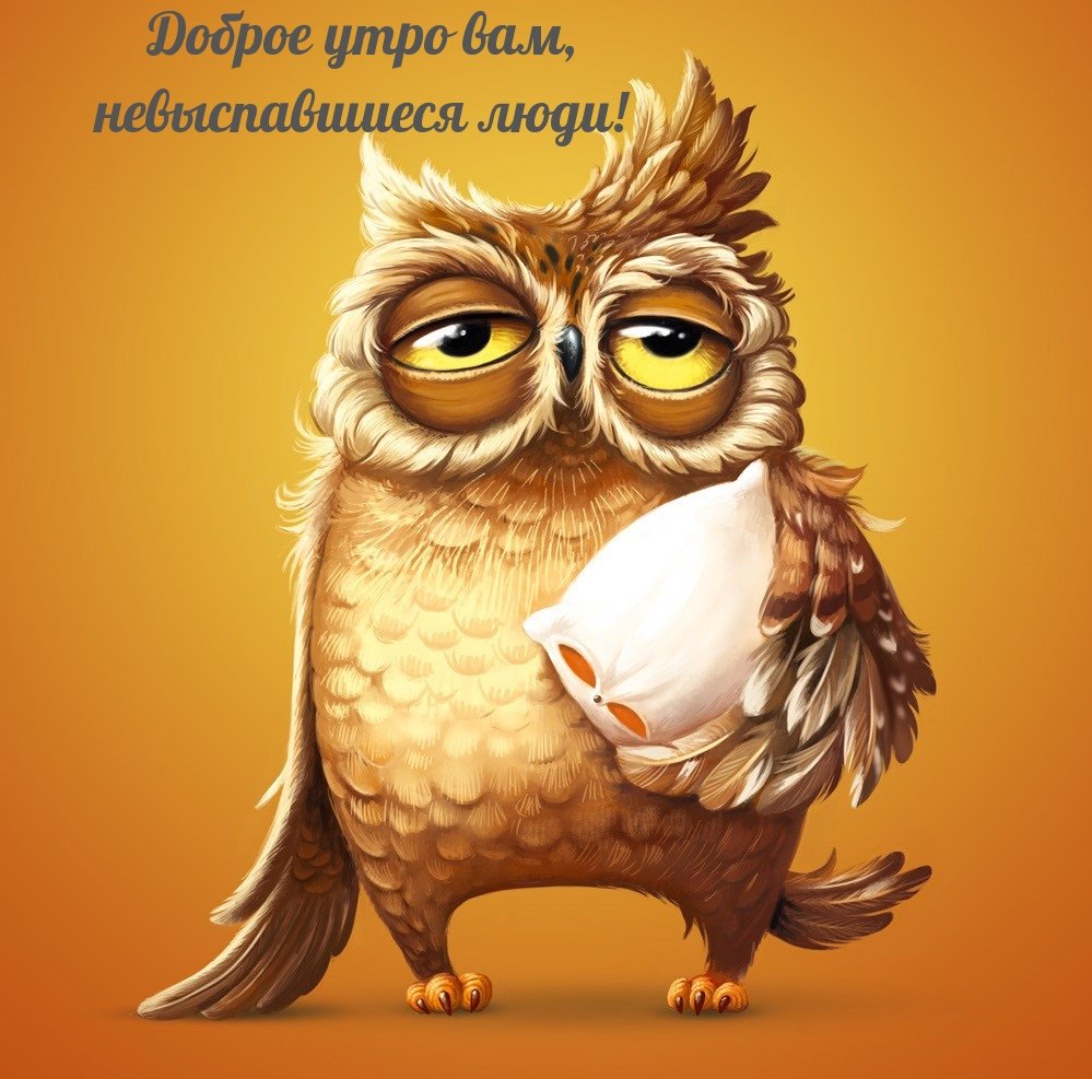 Сонная Сова