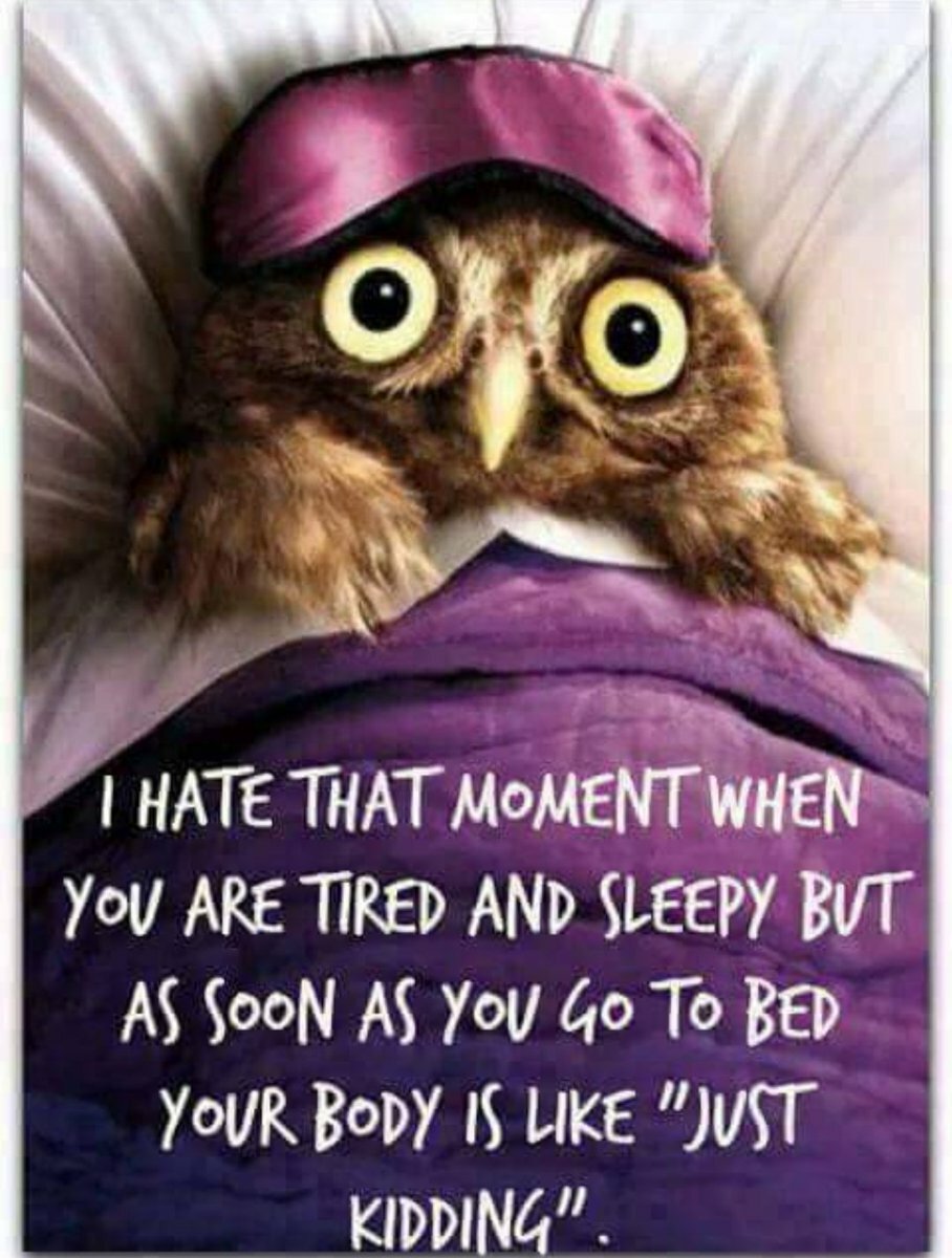 Доброй ночи Сова