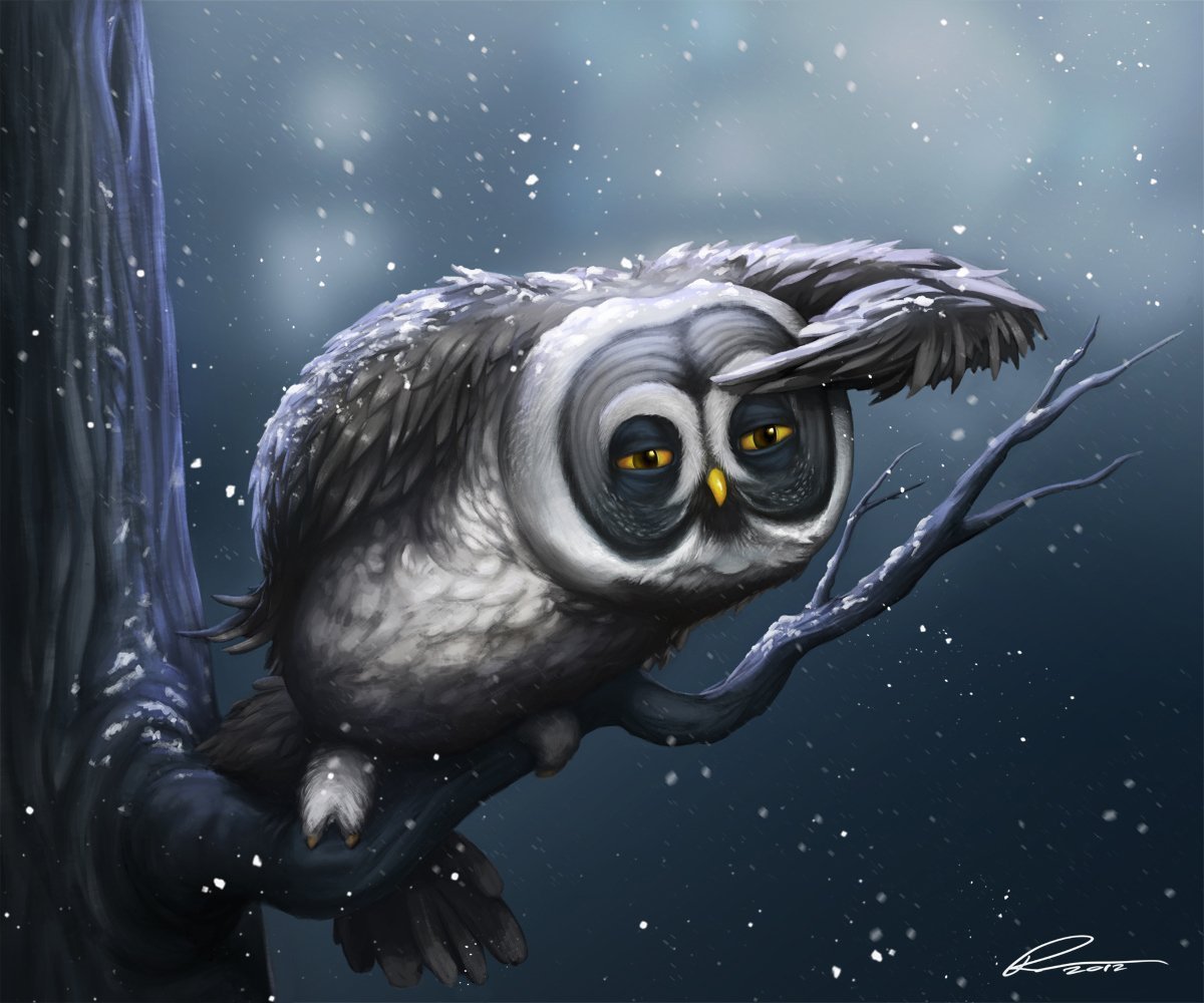 Сова с кофе рисунок