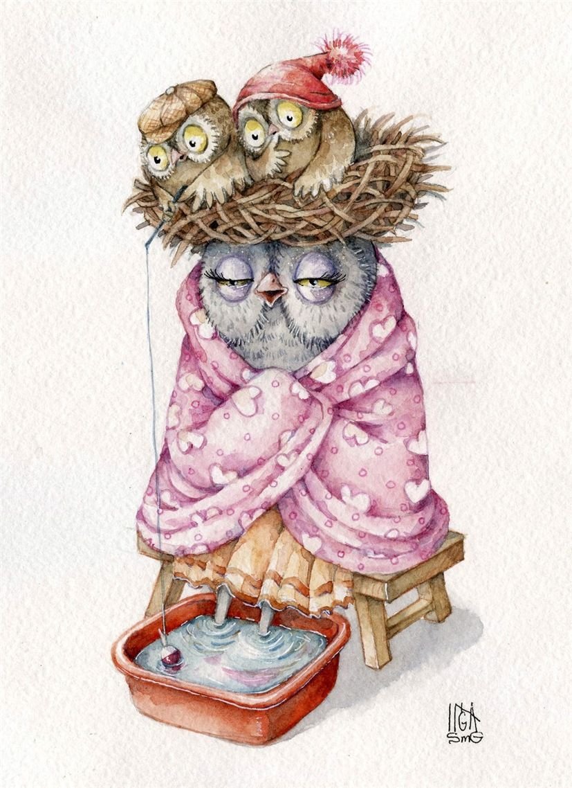 Прикольные картинки сонная сова