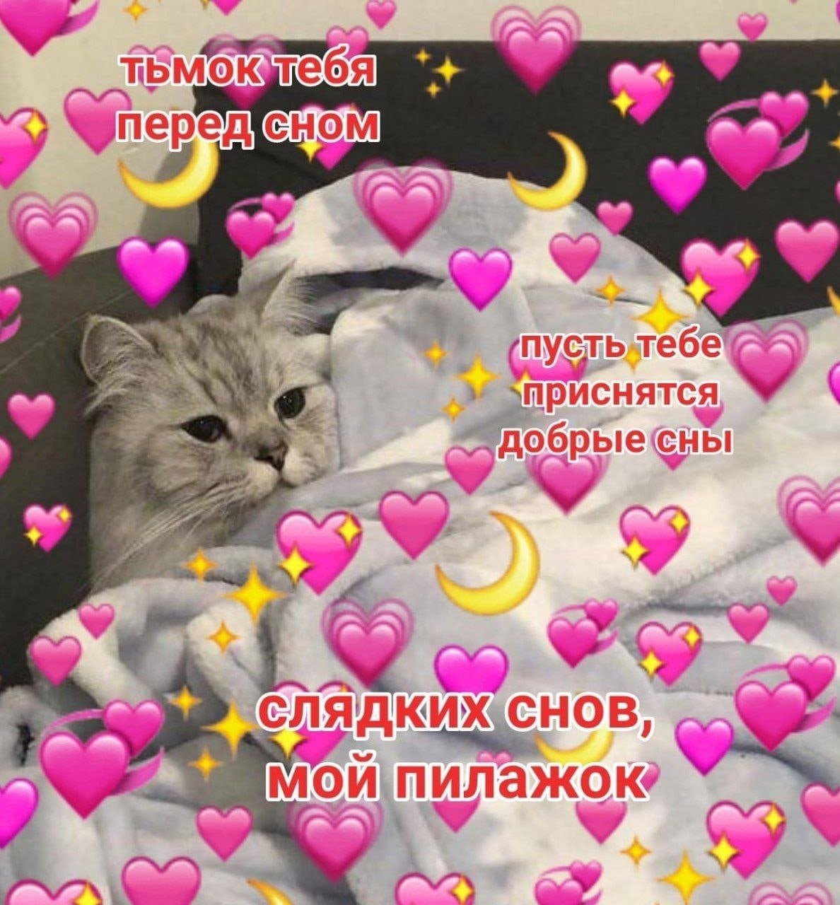 Сладких снов котик с сердечками