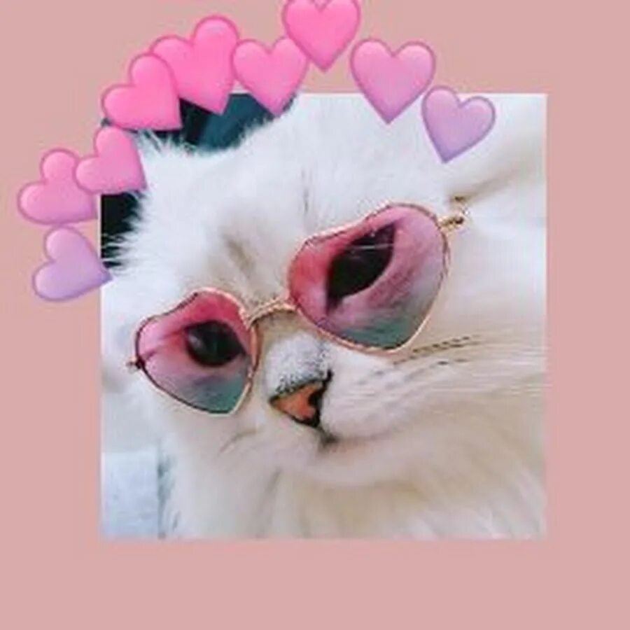 Радужная Эстетика