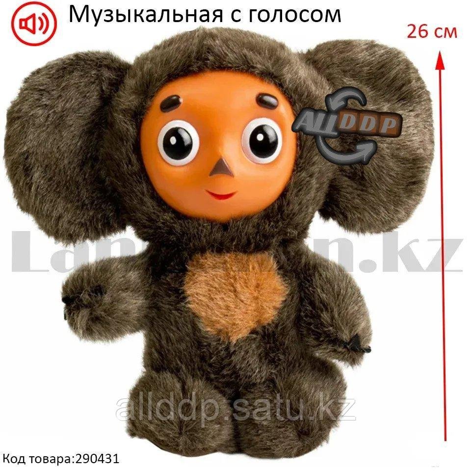 Чебурашка (из м/ф "Чебурашка")