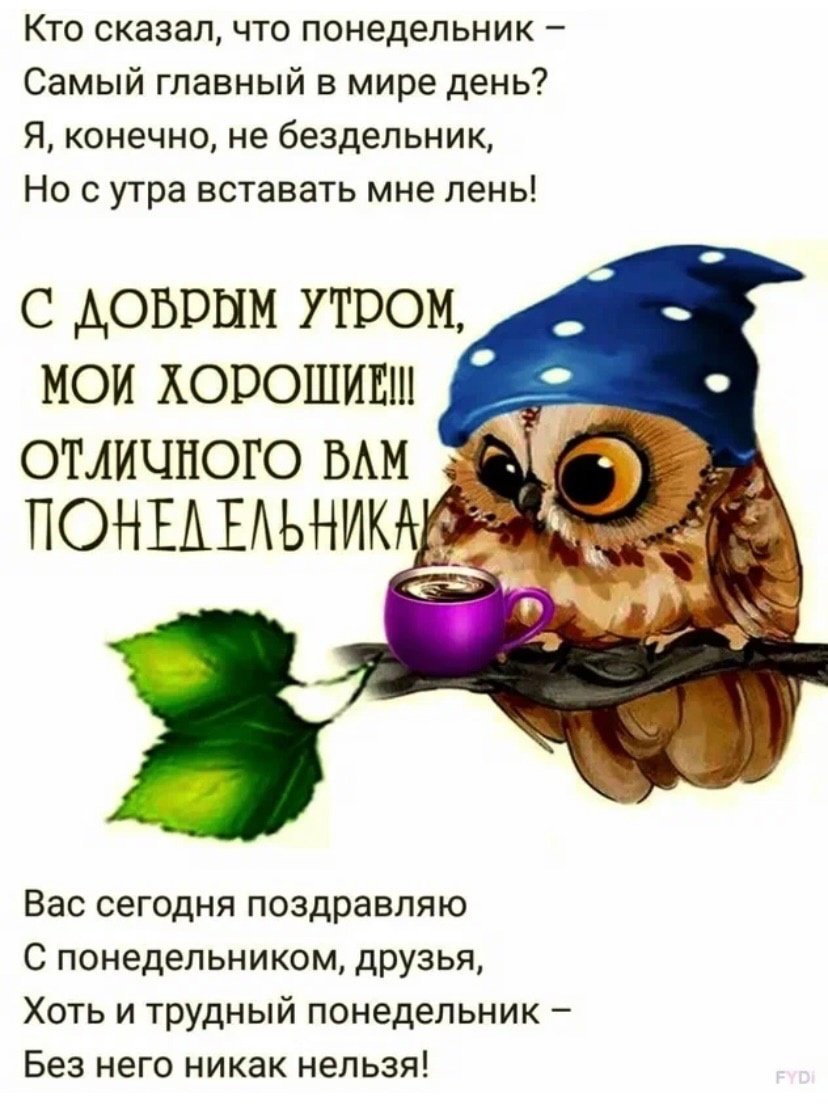 Доброе утро понедельника прикольные