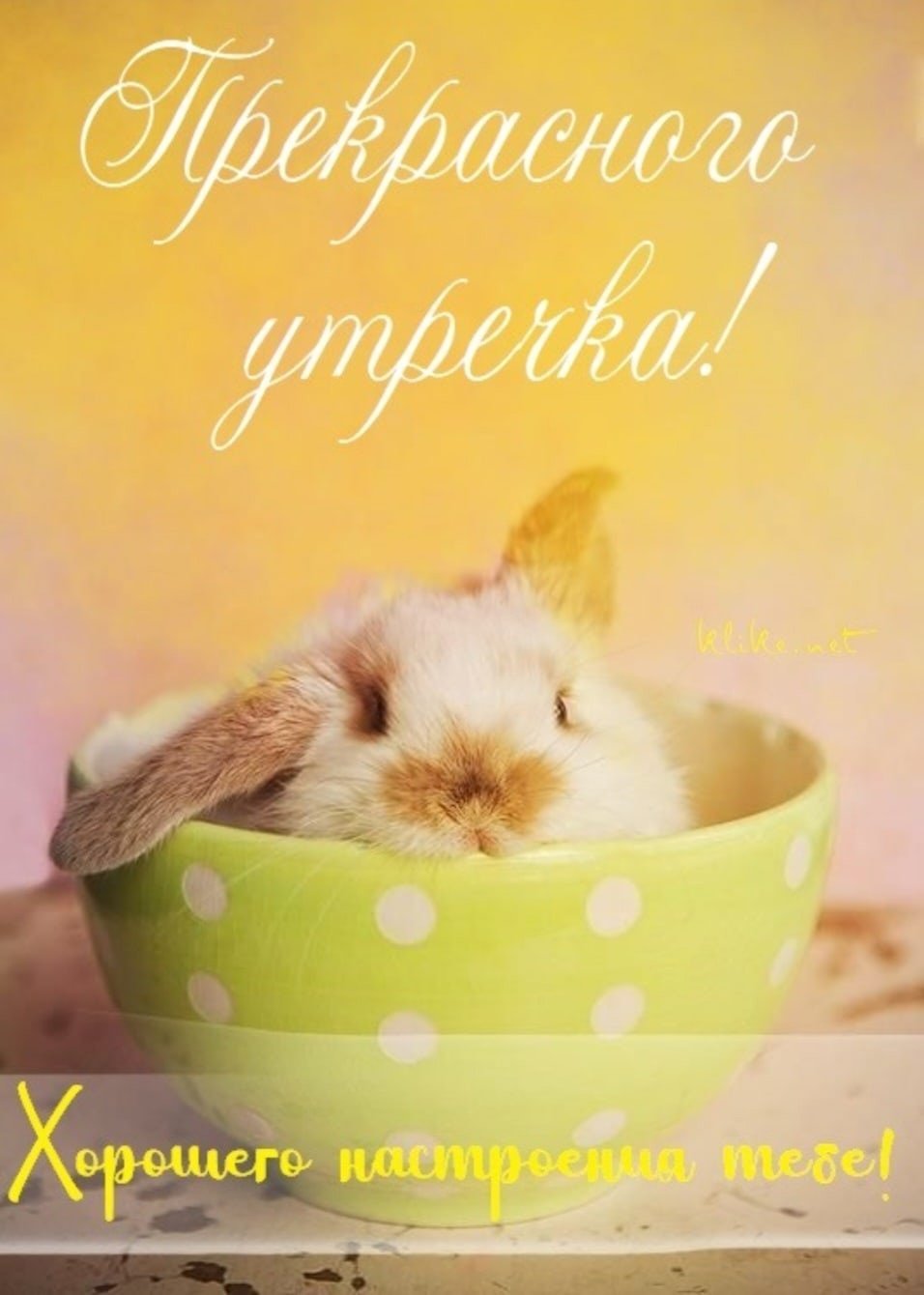 Пусть день принесет радость и удачу