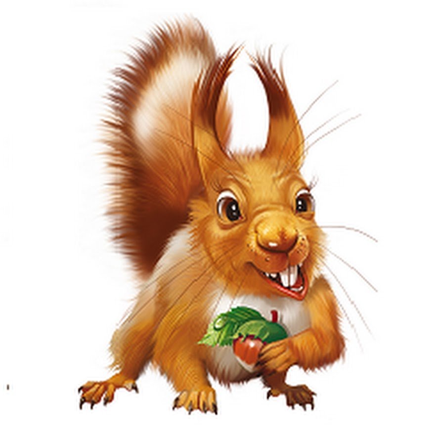 Крутая белка аватарка