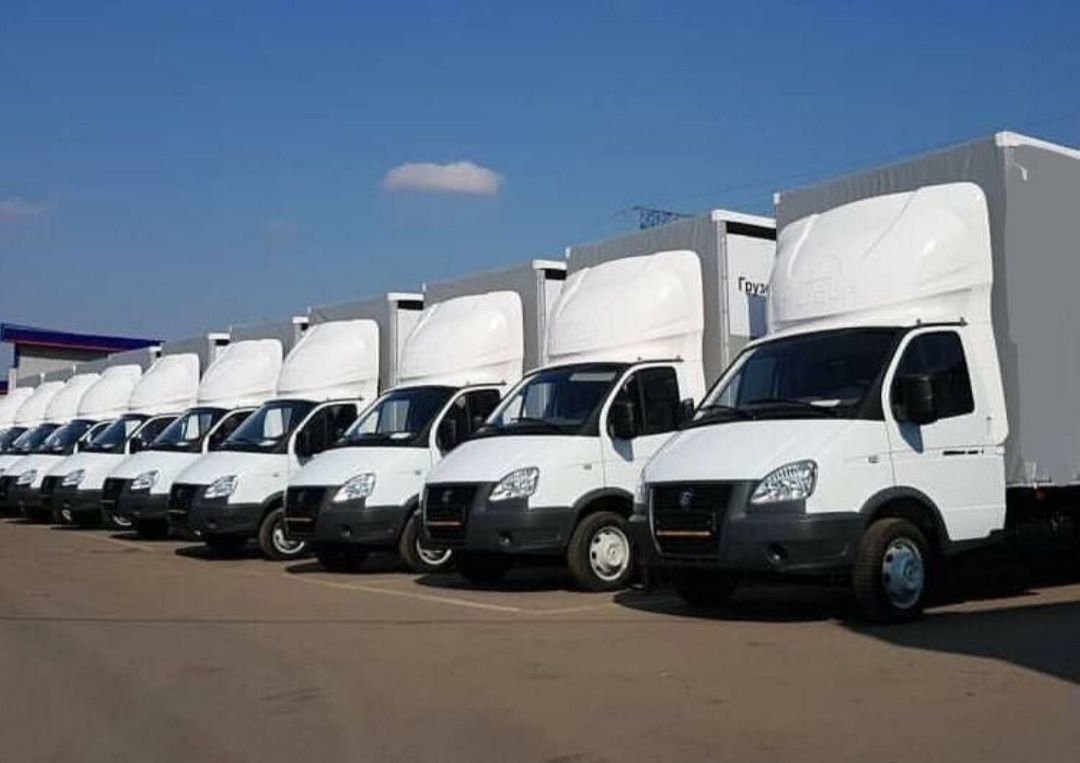 Собственный парк автомобилей газели