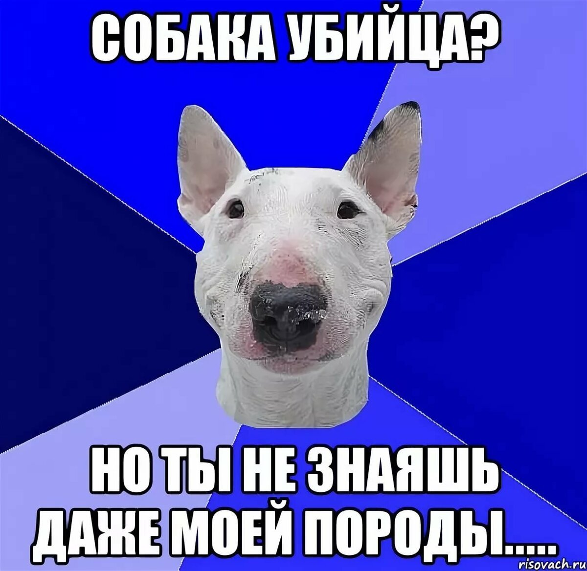 Пустить шептуна