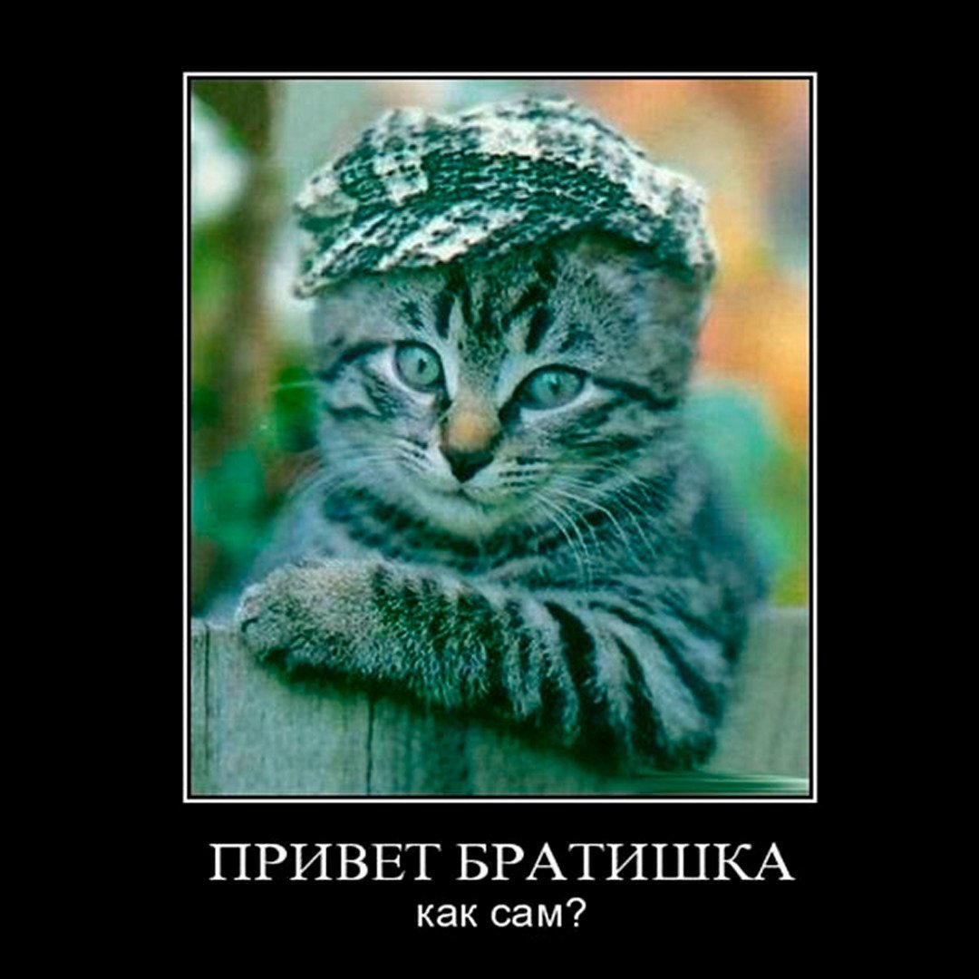 Привет брат картинки